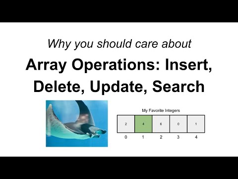 Why care about Array Operations (Insert, Delete, Update, Search)? - YouTube