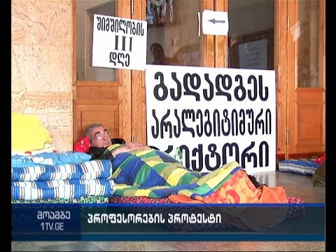 სტუ-ში პროფესორები შიმშილობას განაგრძობენ