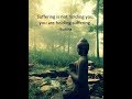 50 plus budha quotes for life slower version