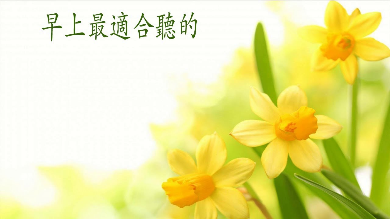早上最適合聽的輕音樂 放鬆解壓- 抒情鋼琴曲 鋼琴曲 純鋼琴輕音樂- Relaxing Chinese Piano Music- Relaxing Musics relaxing music guitar