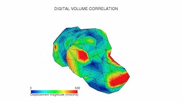 Automate DVC Workflow with Amira Software for Advanced CT Imaging Analysis