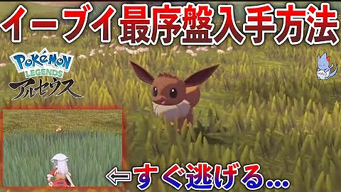 ポケモンアルセウスイーブイどこにいる
