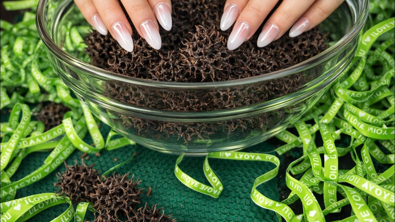 This ASMR Brain Massage Will Make You Sleep in Minutes 😴 | No Talking | Deep Relaxation💤🛌