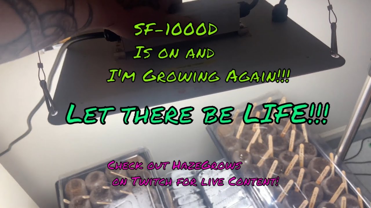 Spider Farmer Sf-1000D: Starters Starting!!