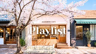 𝐏𝐥𝐚𝐲𝐥𝐢𝐬𝐭 🌸 All-Day Spring Cafe Pop | 100 Songs for Cherry Blossom Vibes 🎶 screenshot 5