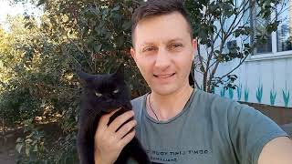 Что делаем дальше❓️ Все по своим рабочим местам 🔥 Жизнь переселенцев