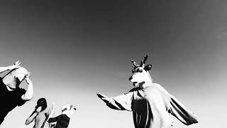 Isla - Beluga Lagoon  Profile