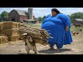 Living in Afghanistan's Mountain Village | Traditional Cooking & Mountain Life