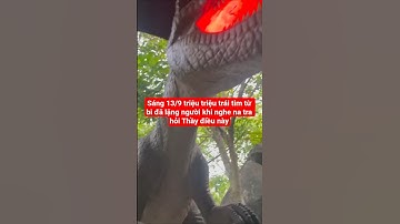 sáng 13/9 triệu triệu trái tim từ bi yêu kính Ngài,ai cũng lặng người#suminhtue #shortvideo