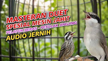 DUET MASTERAN JINGJING PETULAK & PELATUK BERAS | AUDIO JERNIH