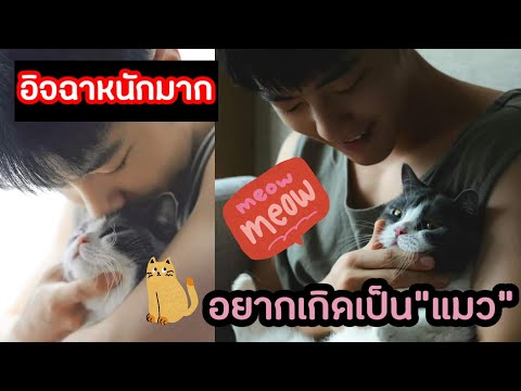 "เซียวจ้าน"อัพเว่ยป๋อ" แคปชั่นที่แสดงความคิดถึง"😸น้องเจียนกั่วเป็นแมวที่น่าอิจฉาที่สุดในโลก🥰