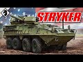 Strykers infanterie moyenne de larme amricaine expliqu