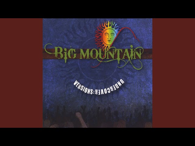 Big Mountain - What You Won't Do for Love