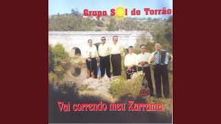 Video thumbnail of "Grupo Sol do Torrão - Olha Lá Tu Ó Poeta"