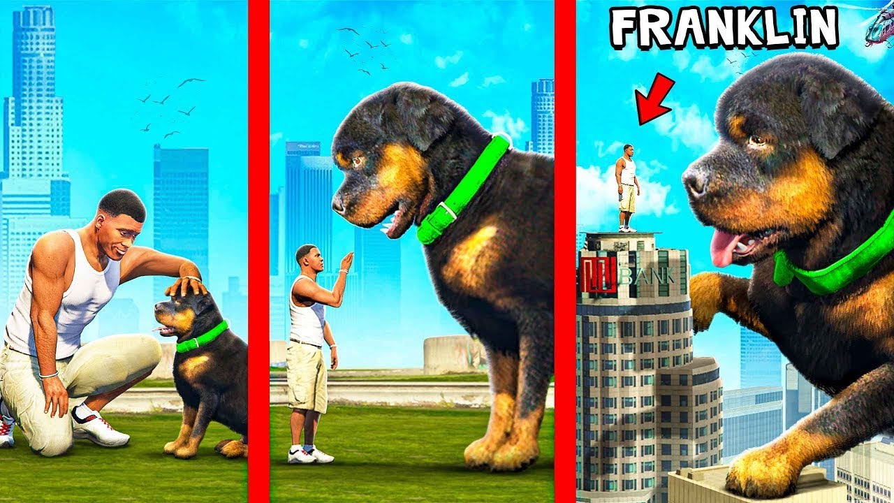 Mejorando CHOP a MEGA GIGANTE CHOP en GTA 5