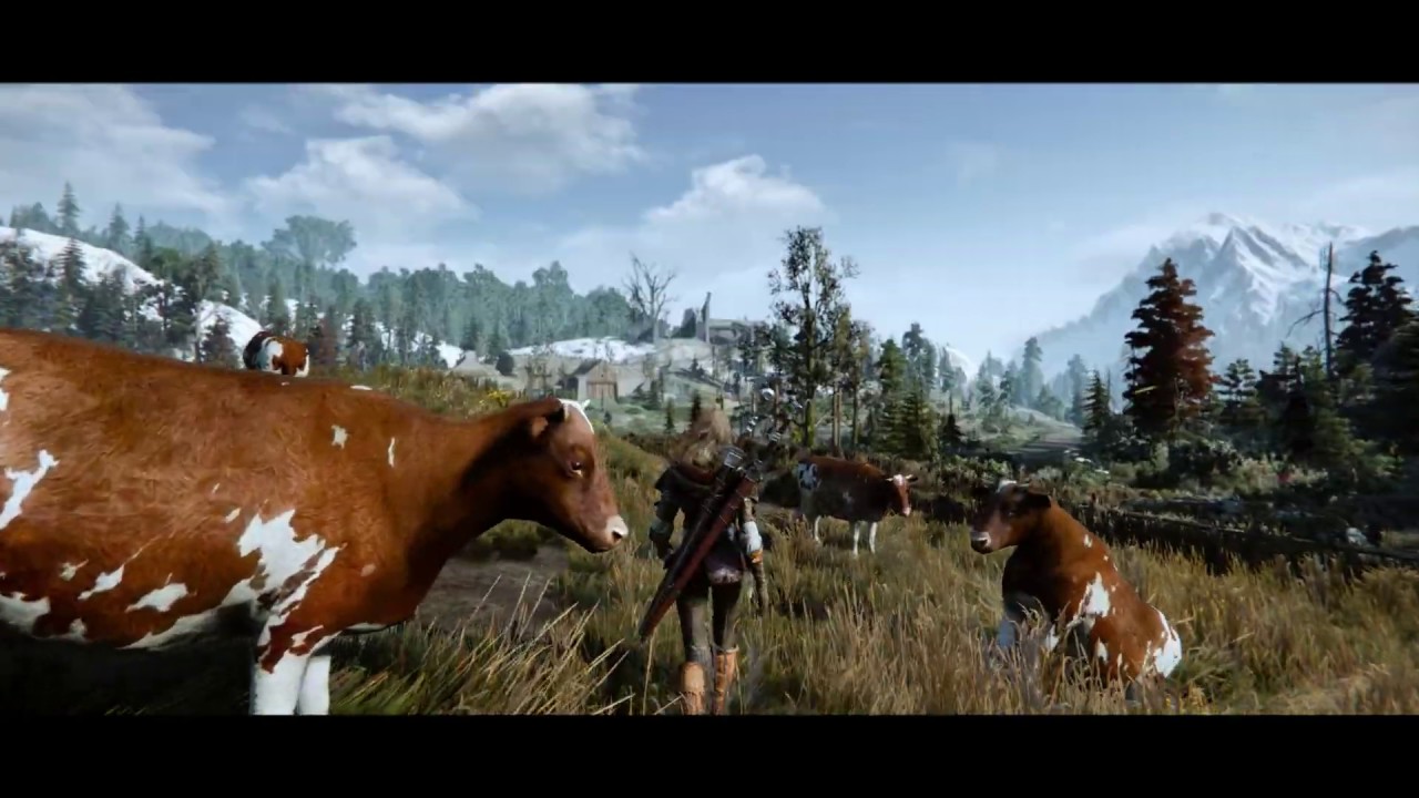 The Witcher 3 Graphics 2019  - Ridman ALM / Rudy Natural