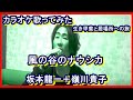 カラオケ 坂本龍一+嶺川貴子さんの「風の谷のナウシカ」歌ってみた 生き甲斐と居場所への旅