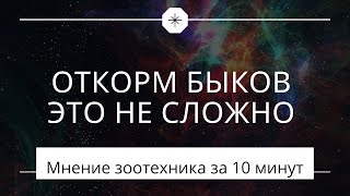 Откорм быков за 10 минут. Обзор от зоотехника. Александр Гальцов