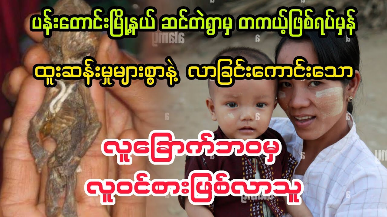 (လူခြောက်ဘဝမှ လူဝင်စားဖြစ်လာသူ) 