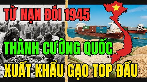 Từ Nạn Đói 1945, VIỆT NAM Trở Thành Cường Quốc Xuất Khẩu Gạo Hàng Đầu Của Thế Giới | Tui Tư Duy
