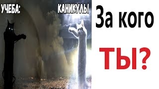 Лютые приколы. КАНИКУЛЫ ИЛИ УЧЕБА? Самое смешное видео! - ПОПРОБУЙ НЕ ЗАСМЕЯТЬСЯ - Domi Show