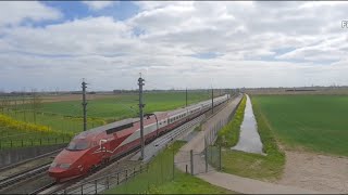 Thalys Komt Met Ongeveer 300 Kmh Langs Hsl Zuid