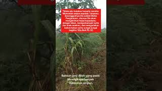 Keutamaan Luar Biasa Membaca Istigfar, Jalan Ampunan & Kelancaran Hidup.
