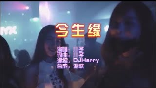 川子 《今生缘 （DJ Harry版）》 KTV 导唱字幕 （备有伴奏视频）