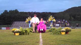 2011 Homecoming Queen and Attendants