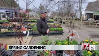 Be aware of spring freeze dates in NC before planting