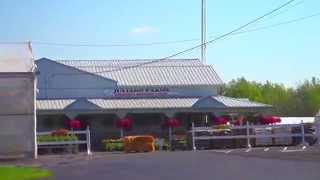 Juliano's Schuyler Greenhouse (Spring 2015)