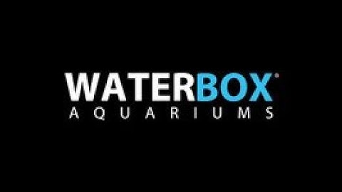 Waterbox 50.3 AIO UNBOXING