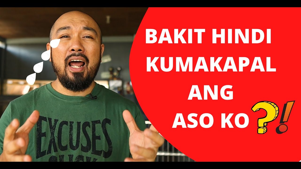Bakit Nagtatae Ang Aso Bakit hindi kumakapal ang aso ko??? - YouTube