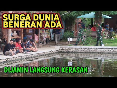 SURGA DUNIA! Kolam Pancing Dan Rumah Makan Kopi Mbah Jebres Spot Estetik di Sidoarjo