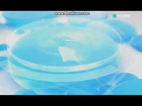 მაესტროს ფიასკო