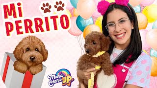 Mi Perrito🐶 MÚSICA MARIA CLARA E JP ♫