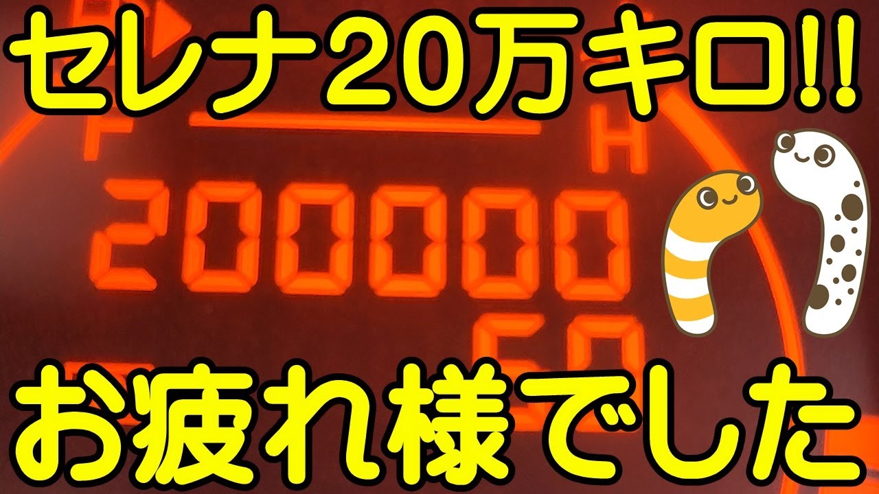 ディズニーランド花火2023 YouTubeライブ配信アーカイブ【ちんあなご&女将さん】 サムネイル