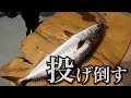 キャスティング縛りで青物を狙うと…【外房:宗丸(costa fishing service)】