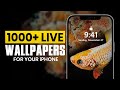 Free Live Wallpapers for iPhone | Best Dynamic Wallpaper App for iOS | Customize Your Screen Easily