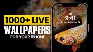 Free Live Wallpapers for iPhone | Best Dynamic Wallpaper App for iOS | Customize Your Screen Easily screenshot 1