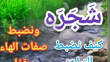 🔍@دورة تصحيح تلاوة(شجرة) وكيف نضبط التباعد مع الفتحات المتكررة وكيف نأتي بالهاء وصفاتهاوقفا..🔍