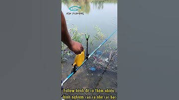 Giới thiệu tới các bác dây bảo vệ cần câu cực tiện dụng, hữu ích cho anh em cần thủ