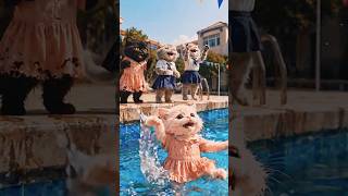 Cat Bullying Gone Wrong 😡💔 | Hero Cat Rescue 🐱🔥#animahal
