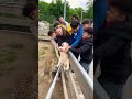 Jaguar Grabs Baby Tapir… Then Tourists Form a Human Chain 😱
