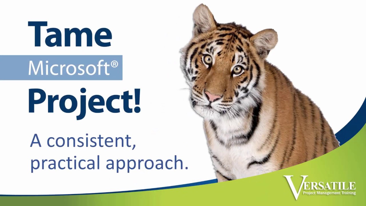 Microsoft Project Training - YouTube