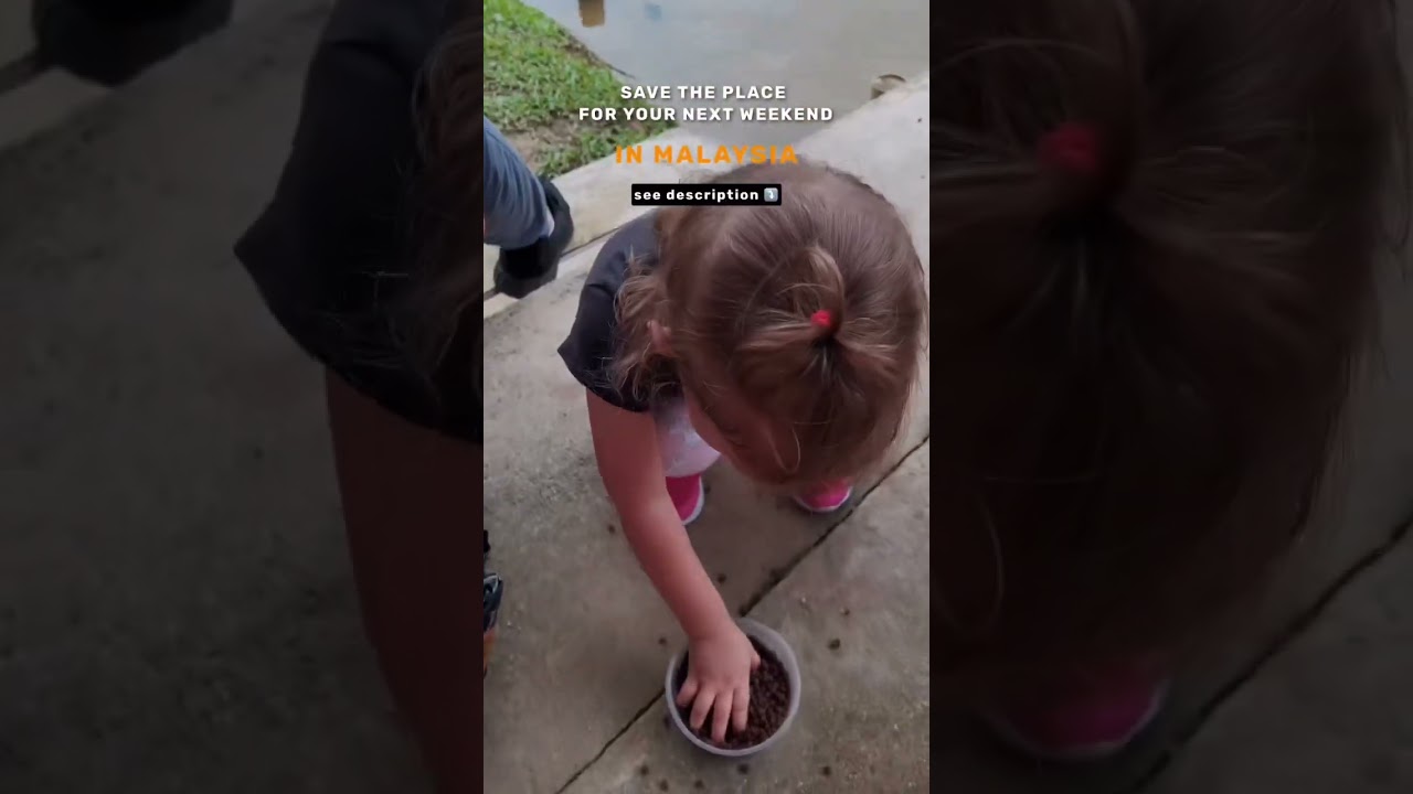 Place for weekend in Malaysia     📍Bukit Jelutong Eco Community