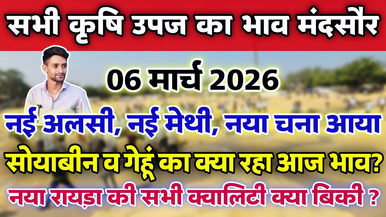 सभी कृषि उपज का भाव मंदसौर मंडी 6 मार्च 2026 | Mandsaur Mandi ka bhav #mandsaur_mandi_bhav 