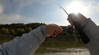 видео: Турнир Autumn Trout Cup 2025 Trout Master 06.09.2025 по ловле форели на спиннинг картинка: Турнир Autumn Trout Cup 2025 Trout Master 06.09.2025 по ловле форели на спиннинг