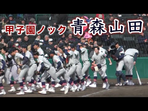 沖縄尚学　2025 センバツ甲子園出場記念 沖縄尚学 沖尚 ユニフォーム 2025 甲子園 センバツ 応援Tシャツ
