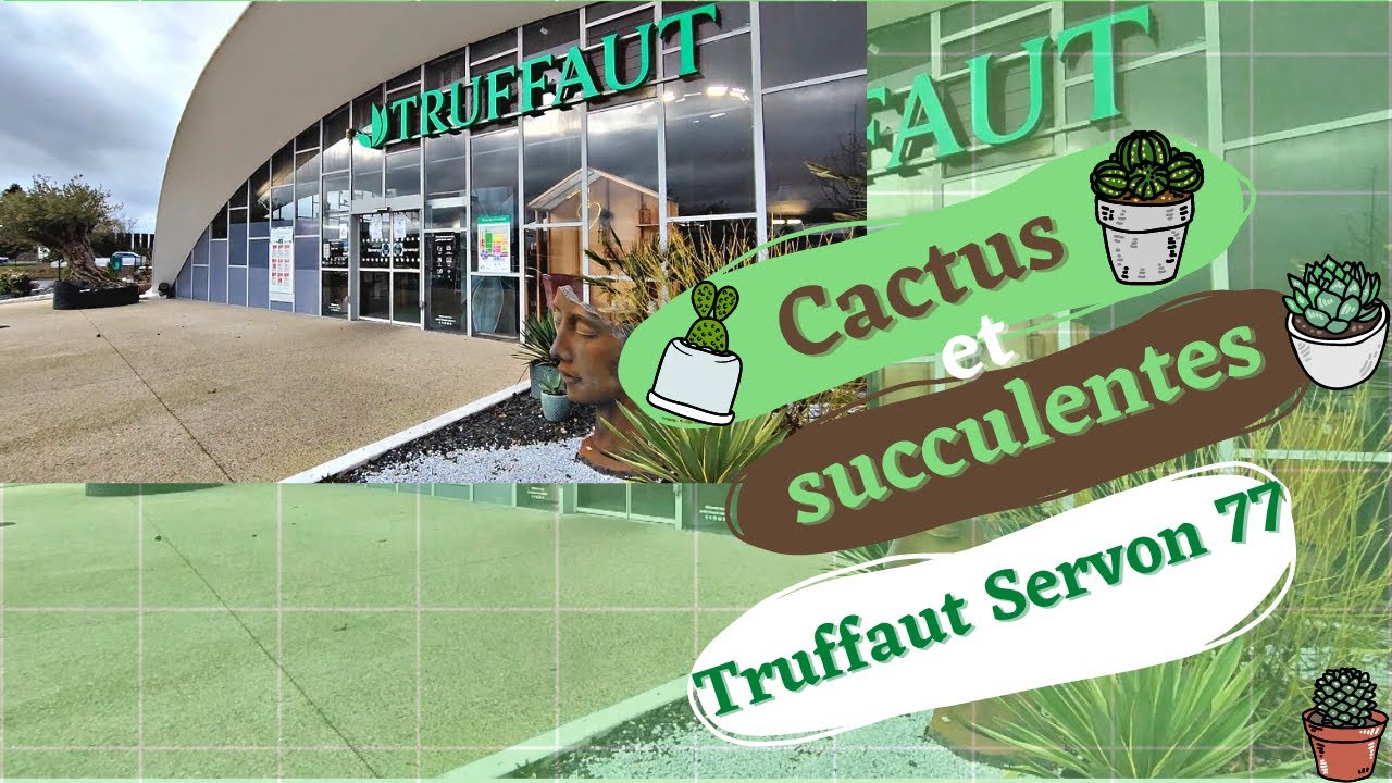 Cactus et succulentes : TRUFFAUT SERVON 77